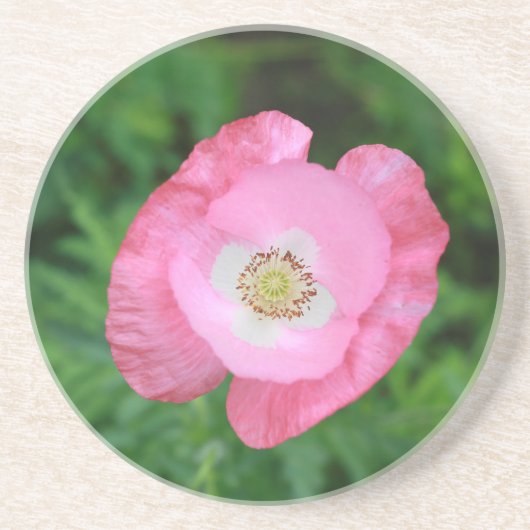 Dessous De Verre En Grès Pink poppy (Devant)