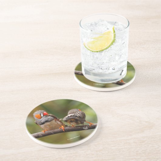 Dessous De Verre En Grès Pinsons zèbres effrontés oiseaux chanteurs sur une (Côté)