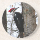 Dessous De Verre En Grès Pivert de Pileated (Devant)