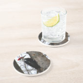 Dessous De Verre En Grès Pivert de Pileated (Côté)