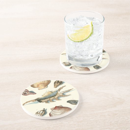 Dessous De Verre En Grès Plage de Shell soignée (Côté)