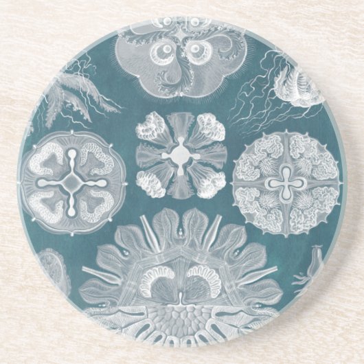 Dessous De Verre En Grès Plan directeur de la vie marine IV (Devant)