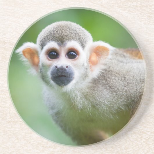 Dessous De Verre En Grès Plan rapproché d'un singe-écureuil commun (Devant)