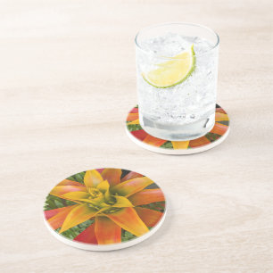 Dessous De Verre En Grès Plante florale de bromélie Guzmania