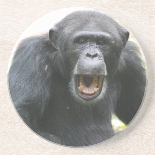 Dessous De Verre En Grès Plat bavard de chimpanzé (Devant)