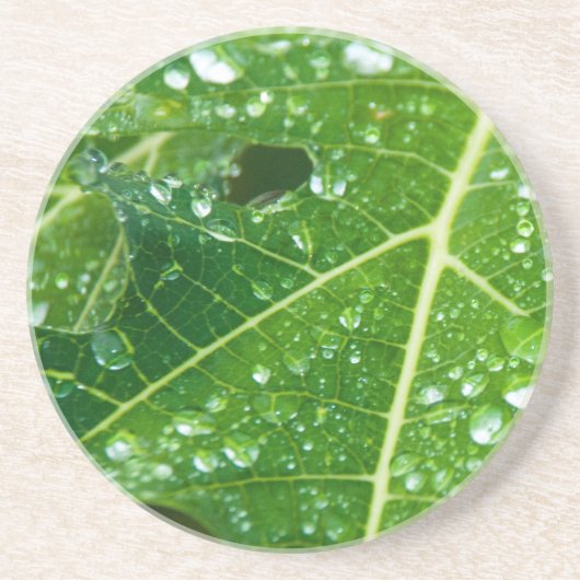 Dessous De Verre En Grès Pluies sur la feuille de Papaya Vert (Devant)