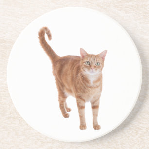 Dessous De Verre En Grès Poignée de chat orange