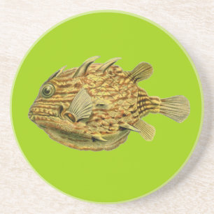 Dessous De Verre En Grès Poisson de Haeckel