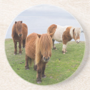 Dessous De Verre En Grès Poney Shetland dans un pâturage près de hautes fal