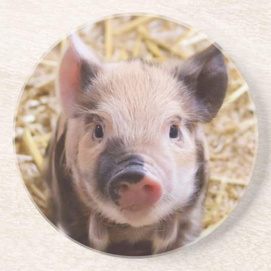 Dessous De Verre En Grès Porcelet (Devant)