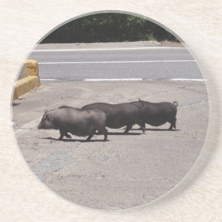 Dessous De Verre En Grès Porcs noirs sauvages