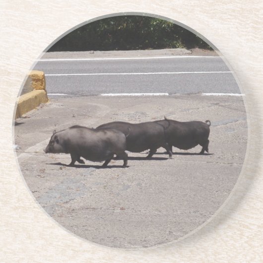Dessous De Verre En Grès Porcs noirs sauvages (Devant)