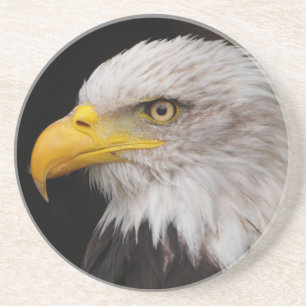 Dessous De Verre En Grès Portrait d'aigle