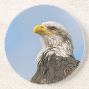 Dessous De Verre En Grès Portrait d'aigle à tête blanche Art animalier