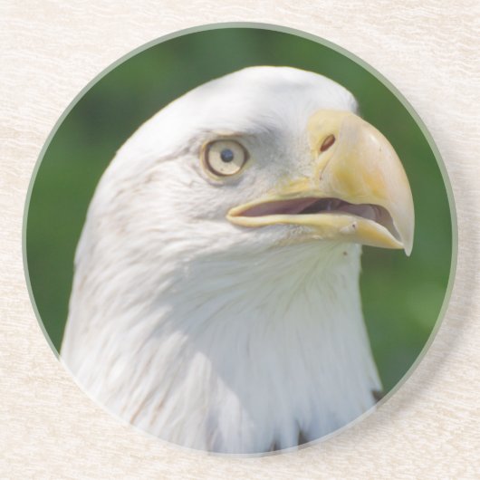 Dessous De Verre En Grès Portrait de Bald Eagle (Devant)