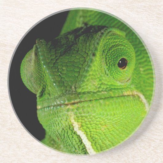 Dessous De Verre En Grès Portrait de caméléon à cou plat (Devant)