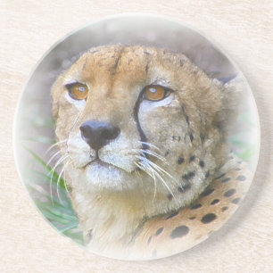 Dessous De Verre En Grès Portrait de Cheetah