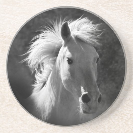 Dessous De Verre En Grès Portrait de cheval V (Devant)