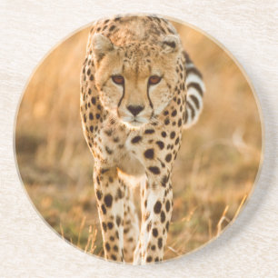 Dessous De Verre En Grès Portrait de guépard (Acinonyx Jubatus), Maasai