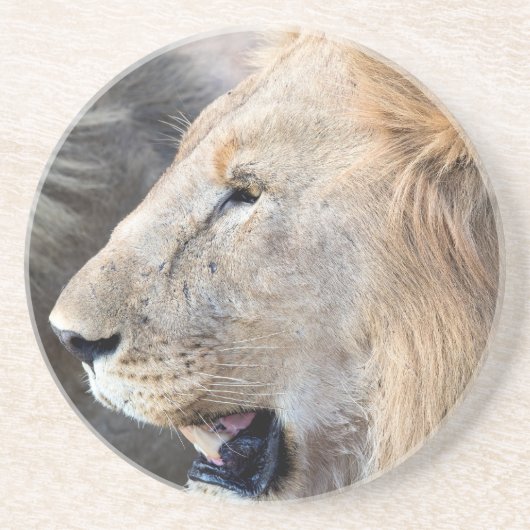 Dessous De Verre En Grès Portrait de Lion (Devant)
