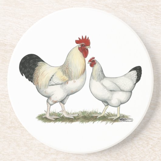 Dessous De Verre En Grès Poulets de la rivière Indian (Devant)