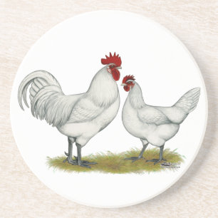 Dessous De Verre En Grès Poulets de pieds bleus