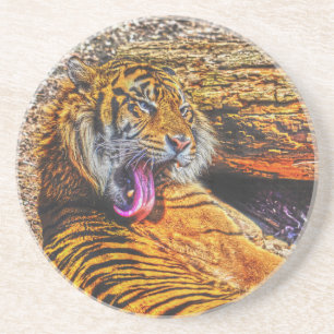 Dessous De Verre En Grès Prévenir Tigre de Sumatran Big Cat Art de la faune