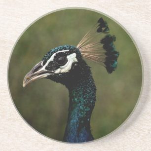 Dessous De Verre En Grès Profil de Peacock