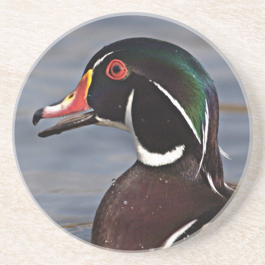 Dessous De Verre En Grès Profil d'un Canard branchu (Devant)