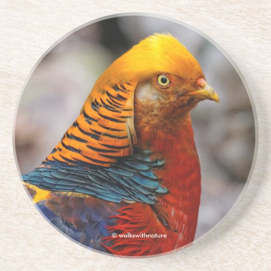 Dessous De Verre En Grès Profil d'un faisan rouge doré (Devant)