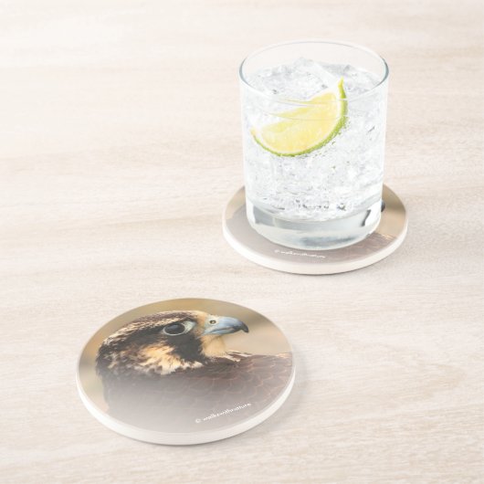 Dessous De Verre En Grès Profil d'un faucon pèlerin (Côté)