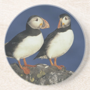 Dessous De Verre En Grès Puffin de l'Atlantique