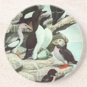 Dessous De Verre En Grès Puffins et oiseaux aquatiques de collection par Lo