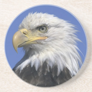Dessous De Verre En Grès Pygargue à tête blanche, (Haliaeetus leucocephalus