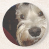 Dessous De Verre En Grès Que regardez-vous ? (Devant)