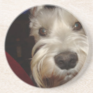 Dessous De Verre En Grès Que regardez-vous ?