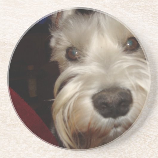 Dessous De Verre En Grès Que regardez-vous ? (Devant)