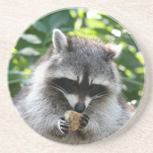 Dessous De Verre En Grès Raccoon 004 (Devant)