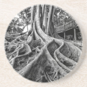 Dessous De Verre En Grès Racines massives de caoutchouc