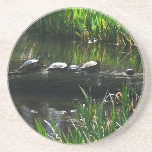 Dessous De Verre En Grès Rangée de tortues photo de la nature verte (Devant)