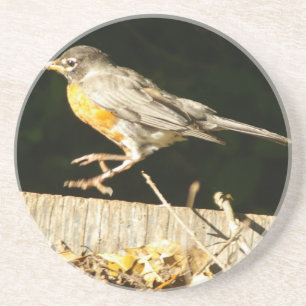 Dessous De Verre En Grès Red Robin Bobbin