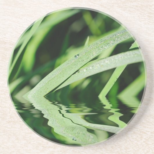 Dessous De Verre En Grès reflets d'herbe (Devant)