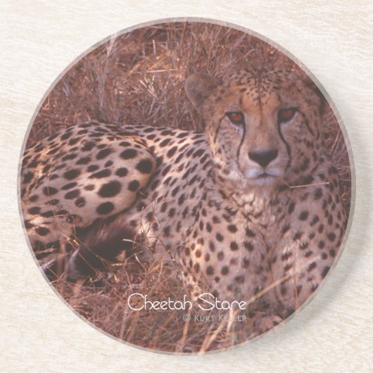 Dessous De Verre En Grès Regard de guépard (Devant)