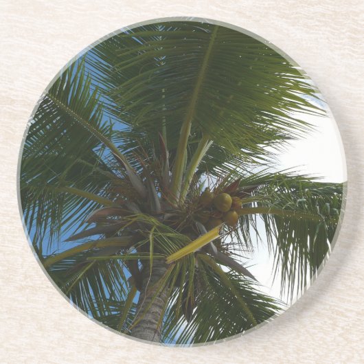 Dessous De Verre En Grès Regard sur le palmier à coco Nature tropicale (Devant)