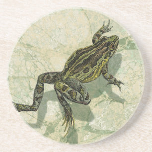 Dessous De Verre En Grès Remonter le crapaud dans l'eau