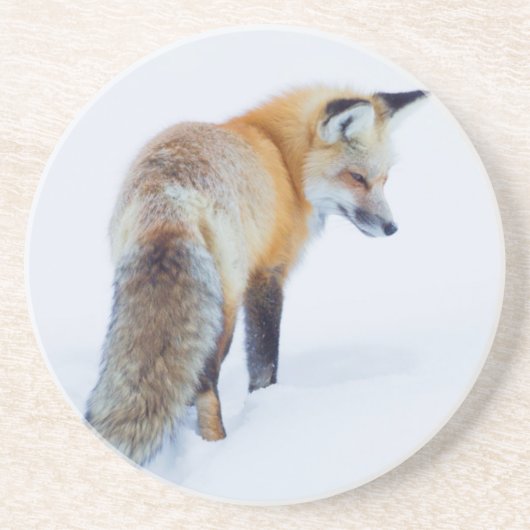 Dessous De Verre En Grès Renard roux en hiver (Devant)