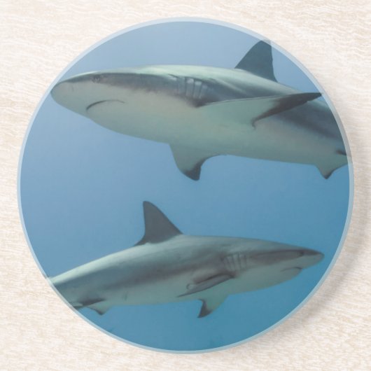 Dessous De Verre En Grès Requin des récifs des Caraïbes (Devant)