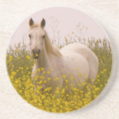 Dessous De Verre En Grès Ressort (Devant)