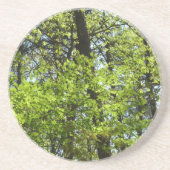 Dessous De Verre En Grès Ressource Feuille (Devant)