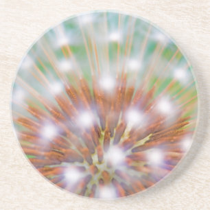 Dessous De Verre En Grès Résumé de tête de graine de pissenlit